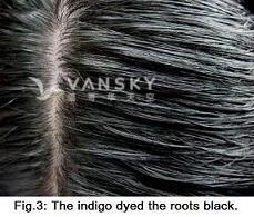 230713161257_Hair-Dyed with indigo-s.jpg